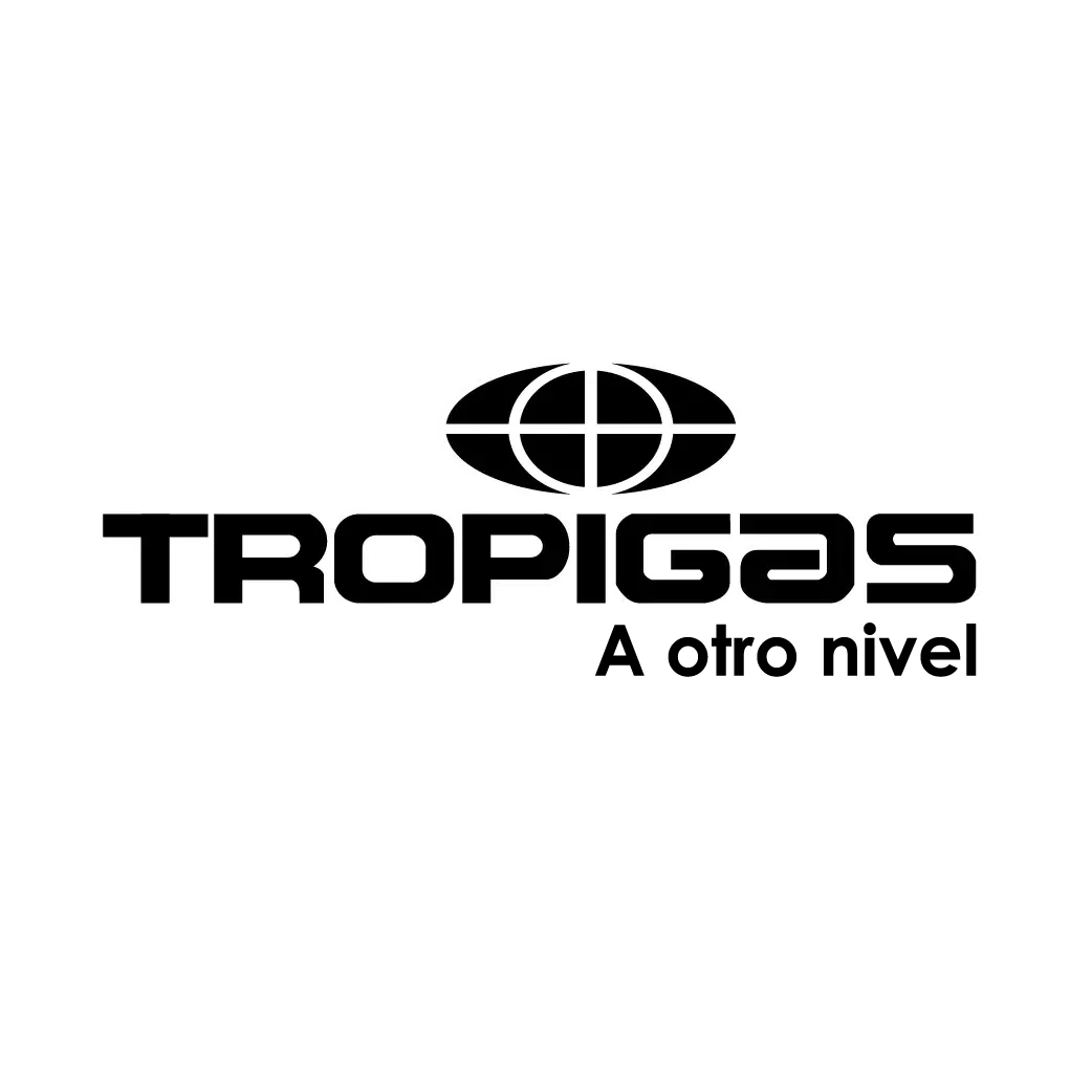 Brand Image 1